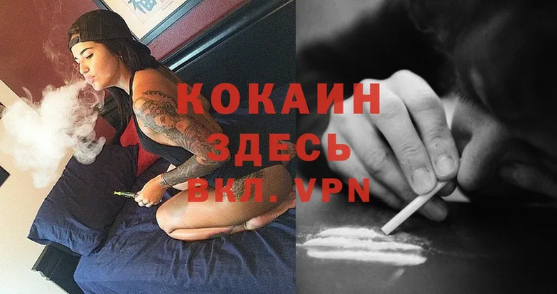 Cocaine Fish Scale  где купить наркоту  blacksprut   Прохладный 