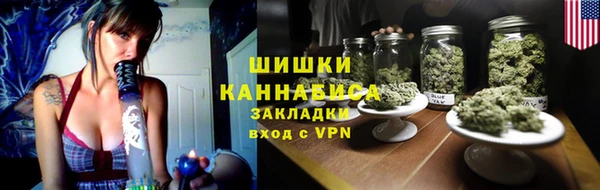СК Пересвет