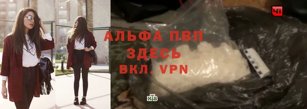 СК Пересвет