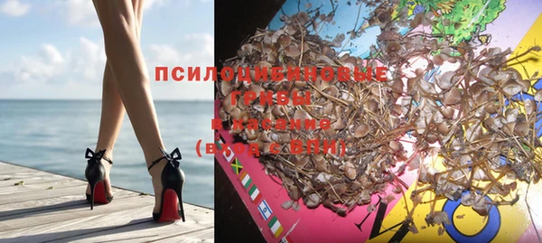 спиды Грязовец
