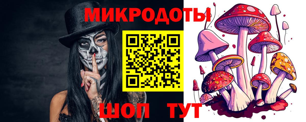 Псилоцибиновые грибы мицелий  Прохладный 