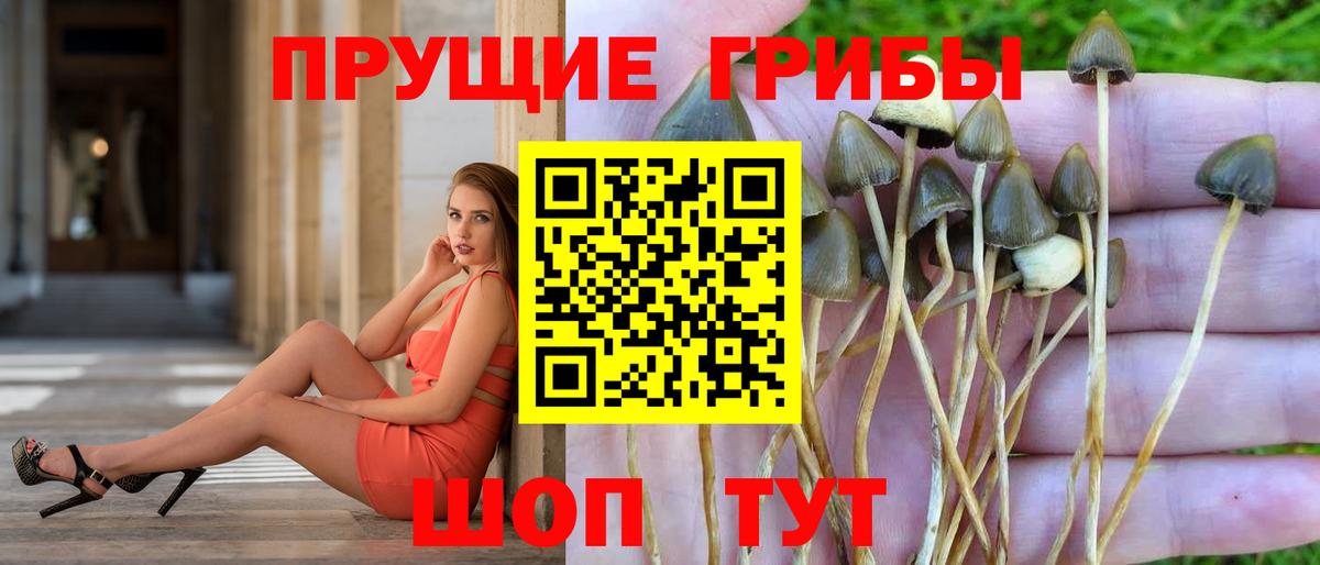 Галлюциногенные грибы ЛСД  Вход с VPN  Прохладный 